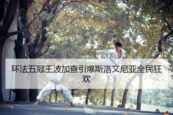 huan-fa-wu-guan-wang-bo-jia-cha-yin-bao-si-luo-wen-ni-ya-quan-min-kuang-huan-2-648.jpg